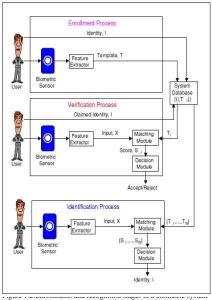 Figure 1.2:Enrollments and recognition stages in a biometric system 