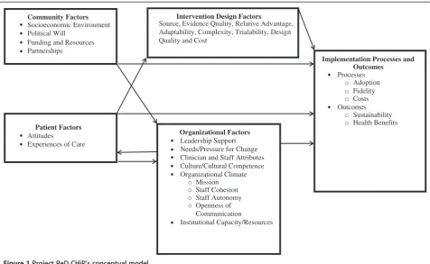 Figure 1 Project ReD CHiP’s conceptual model.