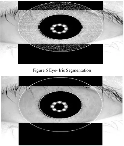 Figure.6 Eye- Iris Segmentation 