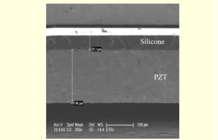 Fig. 3. SEM image of the silicone damping material cured on a  PZT membrane with good uniformity