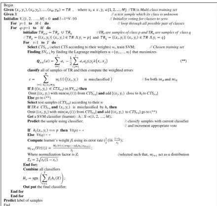 Figure 4. Pseudo code for the proposed BmSVM algorithm. 