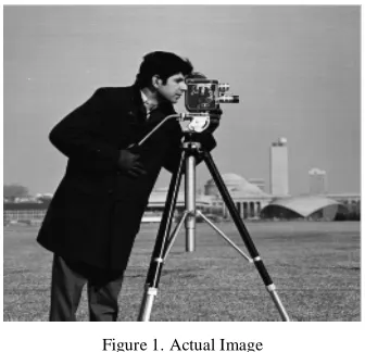 Figure 1. Actual Image  