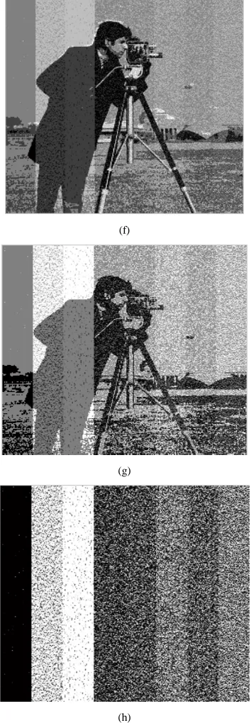 Figure 3. The bit planes of an 8-bit greyscale image after embedding text. (a) Bit 0 (LSB), (b) Bit-1, (c) Bit-2 ,(d) Bit-3, (e) Bit-4, (f) Bit-5, (g) Bit-6, (h) Bit(7) (MSB) 