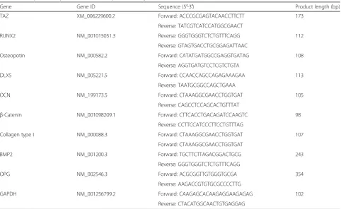 Table 1 The primer sequences used in the present study