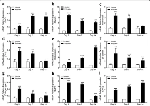Fig. 3 Polydatin (30BMP2expressions at the different stages of hBMSC osteogenesis. PD significantly stimulated the μM) increased TAZ (a), RUNX2 (b), Osteopotin (c), DLX5 (d), OCN (e), β-catenin (f), Collagen type I (g), BMP2 (h), and OPG (i) RUNX2, Osteopo