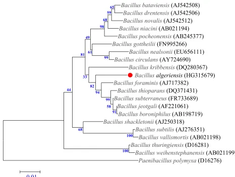 Figure 1. A consensus phylogenetic tree based on 16S rRNA gene sequence comparisons, highlighting the position of strap values from 1,000 replicates that support the node