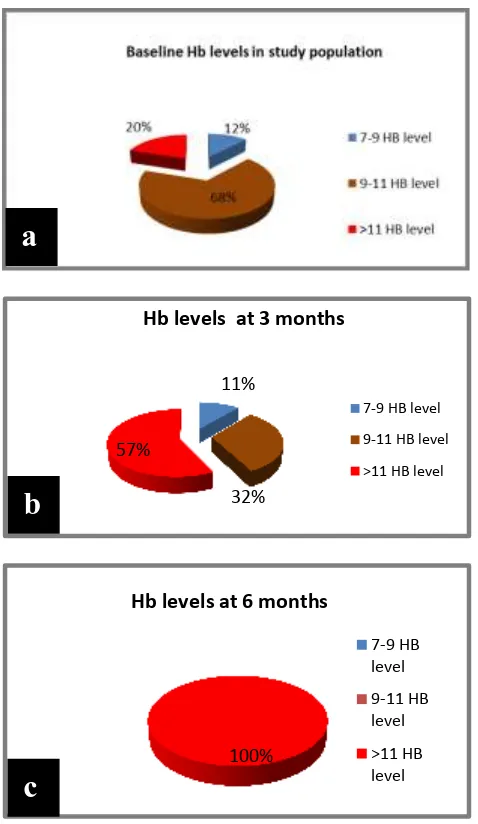 Figure 3: Improvement in Hb levels seen in study population over 6 months. (a) Baseline Hb levels in 