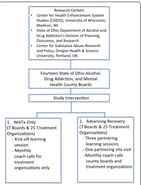 Figure 2 Consort Diagram (Enrollment & Intervention Phases).