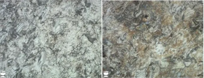 Figure 7 illustrates the effect of  pH on the martensitic stainless  steel surface.  Abrasion  marks  are  evident on the free  erosion- erosion-corrosion neutral conditions with negligible erosion-corrosion product