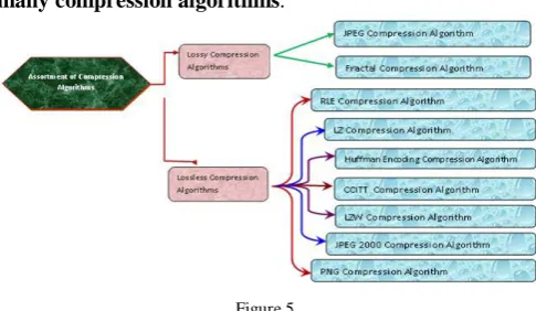 Figure 4 Michael Barnsley in 1991. This compression algorithm  uses the mathematical principles of fractal geometry to identify redundant repeating patterns within images