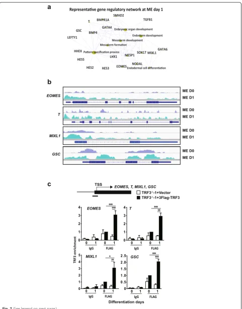Fig. 7 (See legend on next page.)