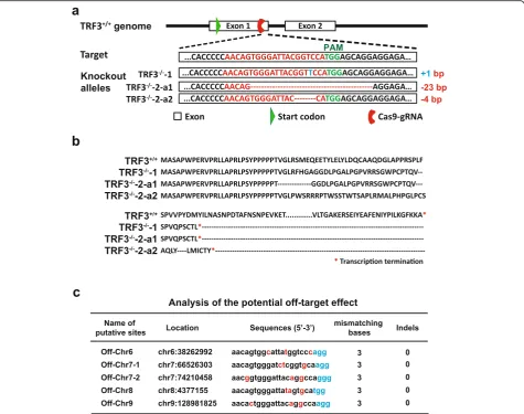 Fig. 2 Generation of TRF3 knockout (TRF3−/−) hESCs. a Targeting strategy for the generation of TRF3−/− hESCs by homologous recombinationusing CRISPR/Cas9 technology