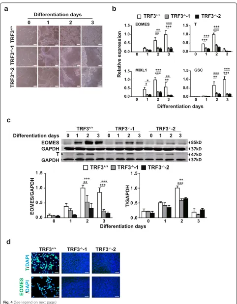 Fig. 4 (See legend on next page.)