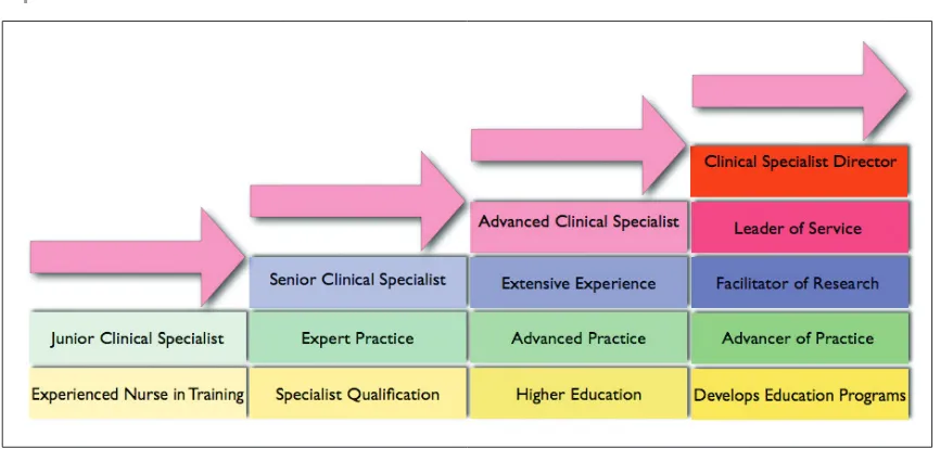 Figure 1. From Hibbert D, AlSanea N, Balens B. (2012) Perspectives on specialist nursing in Saudi Arabia: A national model for success