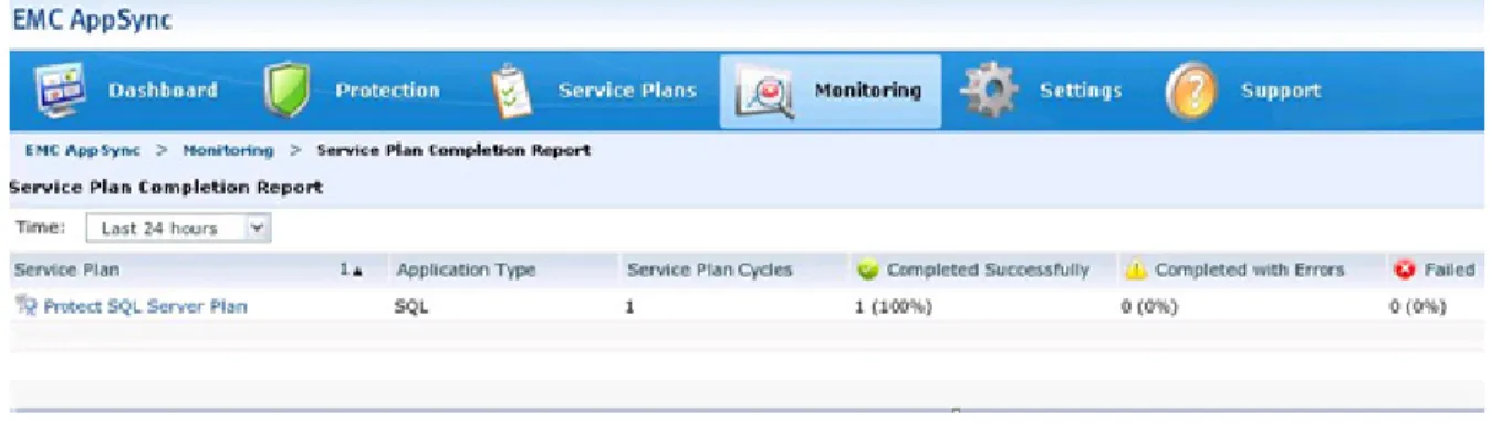 Figure 5. Service Plan Completion Report 