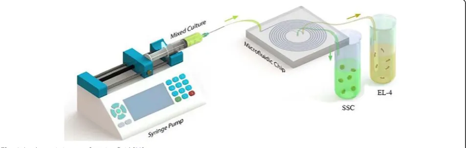 Fig. 1 A schematic image of a microfluid [23