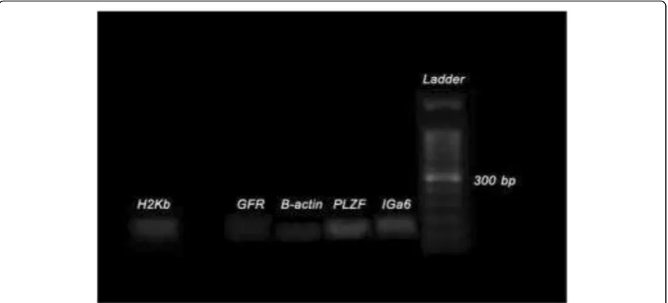 Fig. 4 A schematic illustration of how microfluidics works. In this study, adequate separation was performed after transferring the cells to thecorresponding device