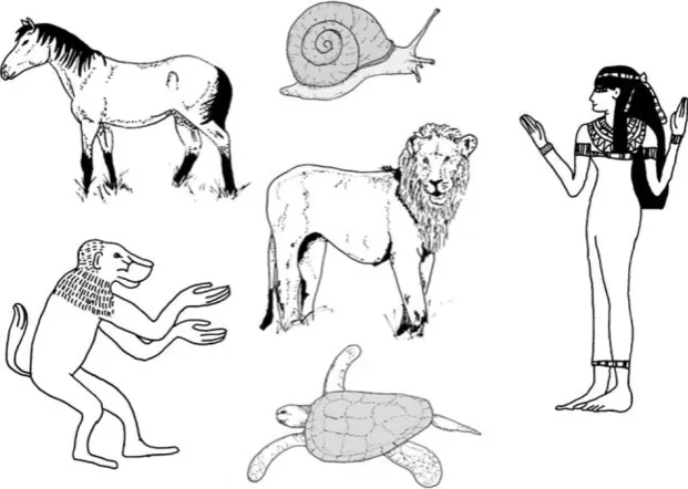 Fig. 1 Plates of organisms