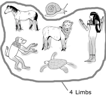 Fig. 2 Activity led by pupils of