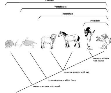 Table 1 List of activities proposed by Chanet and Lusignan (2007)