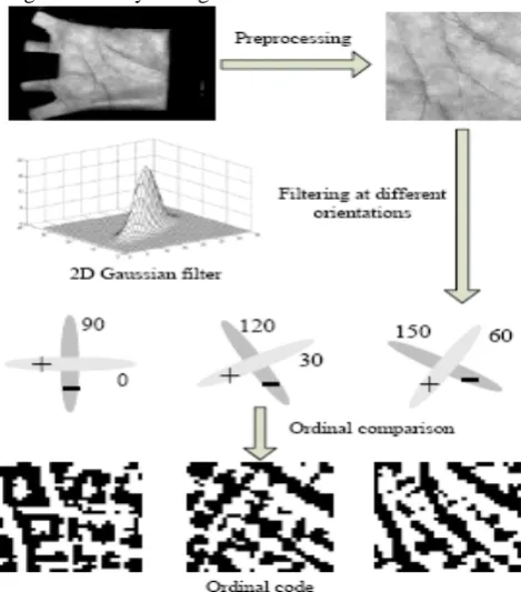 Figure 2. Orthogonal line ordinal features for palm print recognition.