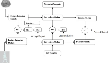 Figure 4: Fusions at different levels 