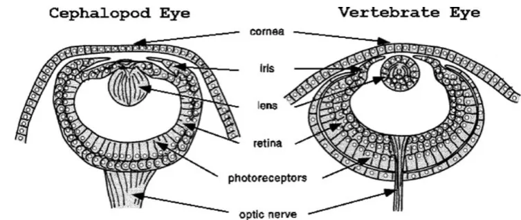 Fig. 3Configuration of the