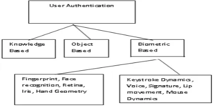 Figure 1: User Authentication Classification 