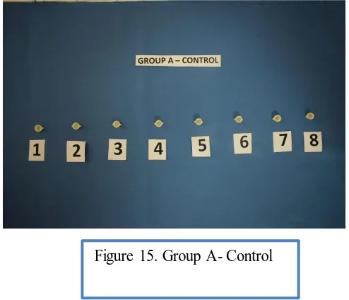 Figure 15. Group A- Control 