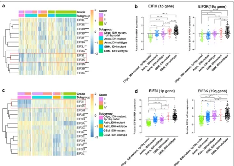 Fig. 1 The expression of eIF3 subunits in gliomas with different pathological features