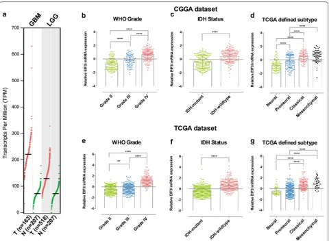 Fig. 3 The expression of eIF3i in normal brain tissue and gliomas with different clinicopathological features