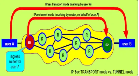 Figure 5: IPSec marking process[22] 
