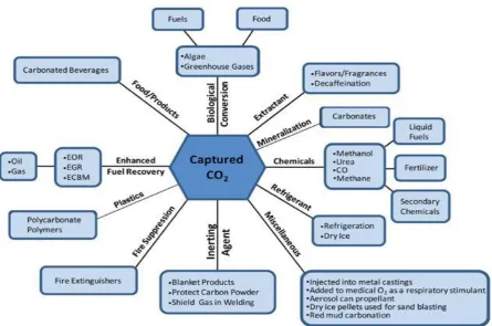Fig. 1. Schematic diagram of use options for captured CO2.  