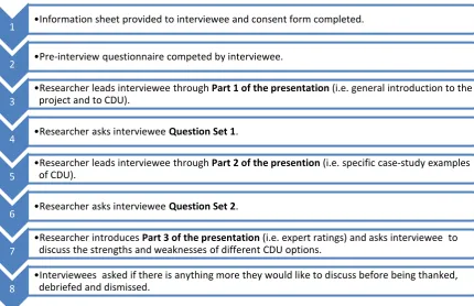 Fig. 2. Overview of the interview procedure.  