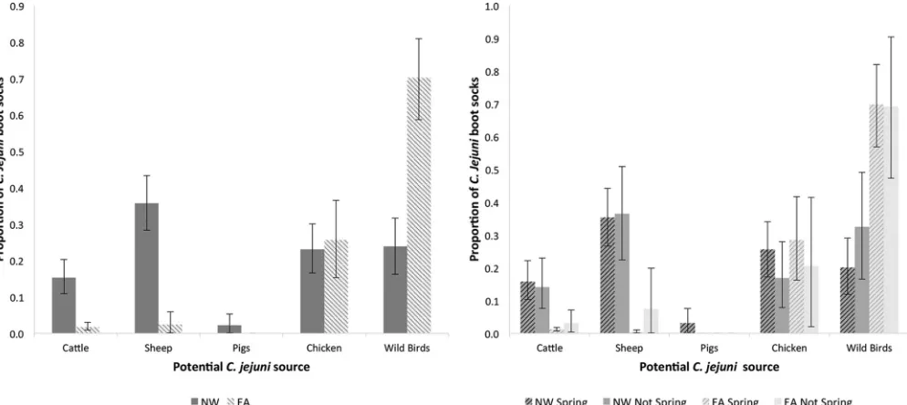 TABLE 2 Species of Campylobacter identiﬁed from culture-positive boot socks