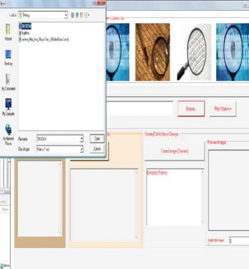 Figure 5. Input Video 