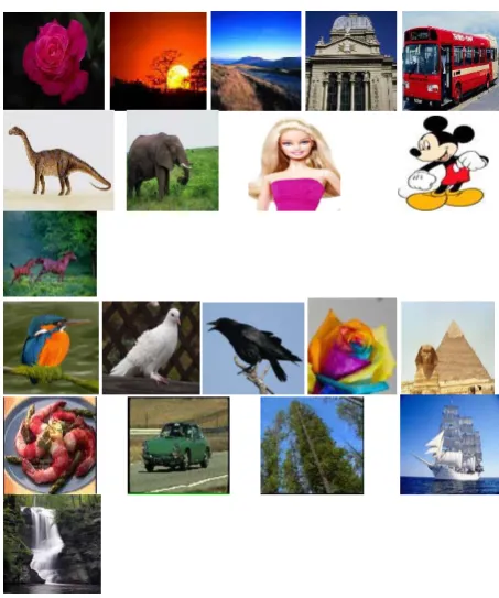 Figure 5.   20 Sample Images from database of 2000 BMP images from 20 classes 