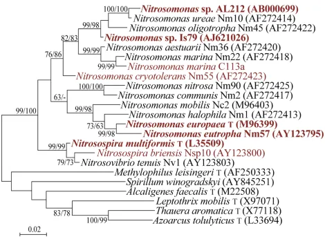 Figure 1. Phylogenetic tree showing the position of cause the whole genome of this strain became recently available [12]
