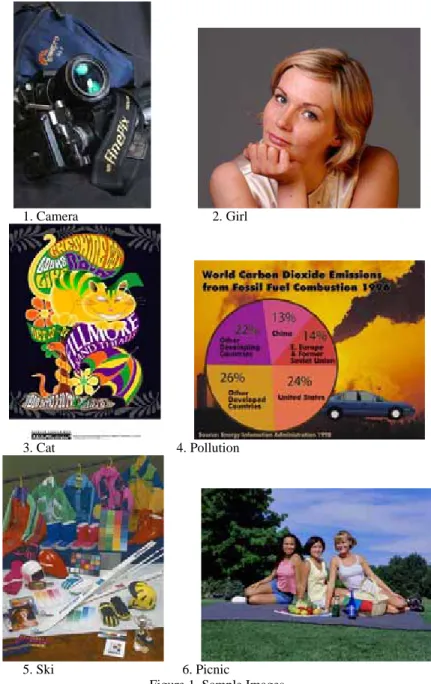 Figure 1. Sample Images