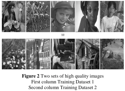 Figure 2 Two sets of high quality images First column Training Dataset 1 