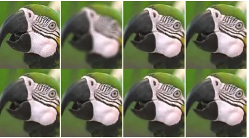 Figure 4 Reconstructed HR images (scaling factor 3) of Parrot by different methods 