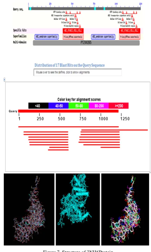 Figure 7. Structure of 3NH6Protein 
