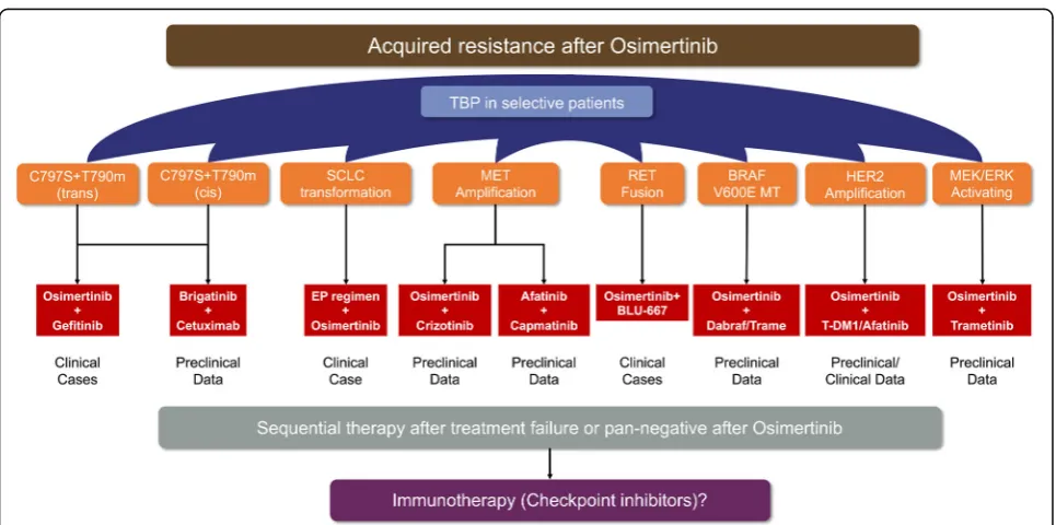 Fig. 1 Reported acquired resistance to osimertinib and corresponding potential strategies