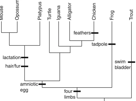 Fig. 1 Phylogenetic trees show the relationships of four speciesThe most recent common ancestor (large arrowindicated by aevolutionary relationships.clade 1 consists of species C and D, and it is nested within clade 2,consisting of species B, C, and D.the 