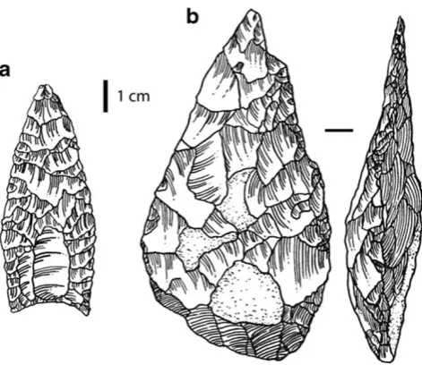 Fig. 3 Stone tools. a Clovis point, Dent Site, Colorado, approxi-mately 13,000 years old (after Whittaker [1994])