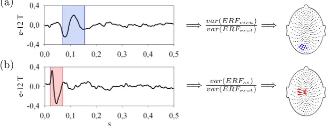 Figure 2.12: Event-Related Fields (ERFs) after stimulus, for visual (a) and somatosensory (b) brainareas in one representative subject