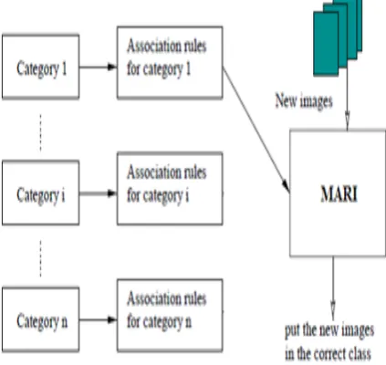 Figure 1.5 Classifier per Category Using MARI 