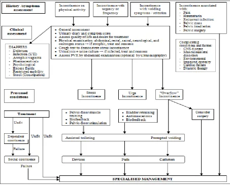 Figure 5: Algorithm of initial management of UI in frail disabled elderly people.51