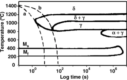 Figure 28.  Time Temperature Transformation diagram for delta ferrite to austenite in the high temperature HAZ (Warmelo, Nolan, & Norrish, 2007)
