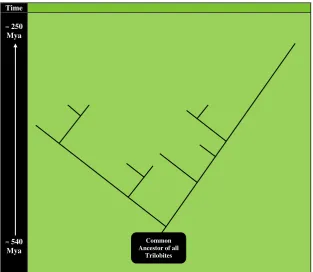 Fig. 4 A diagram of simplified